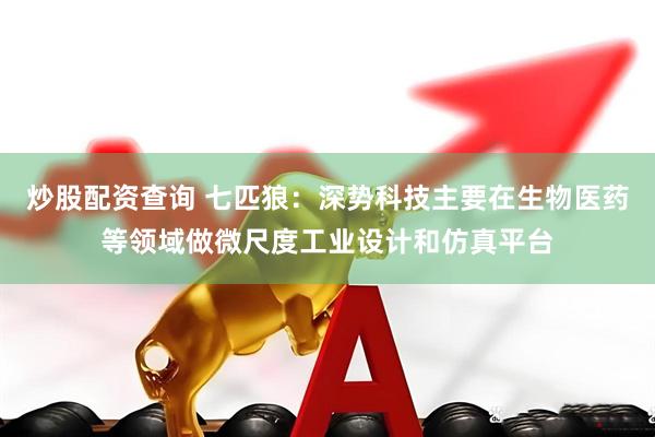 炒股配资查询 七匹狼：深势科技主要在生物医药等领域做微尺度工业设计和仿真平台