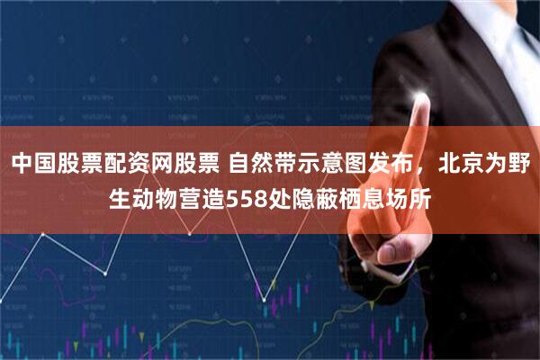 中国股票配资网股票 自然带示意图发布，北京为野生动物营造558处隐蔽栖息场所